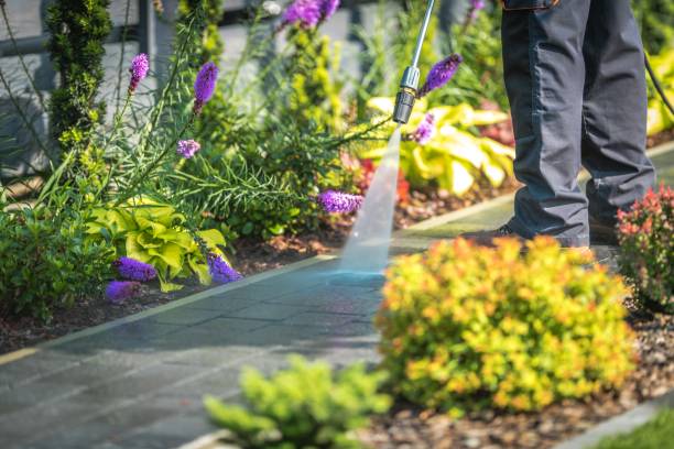 Best Winterizing Services  in Troy, TX